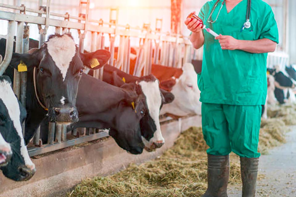 El Sindicato veterinario de León denuncia las condiciones laborales de los veterinarios que participan en las Campañas de Saneamiento Ganadero de Castilla y León