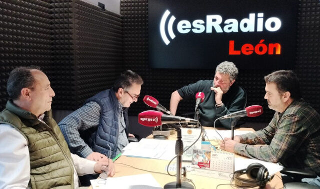 Gripe aviar en León